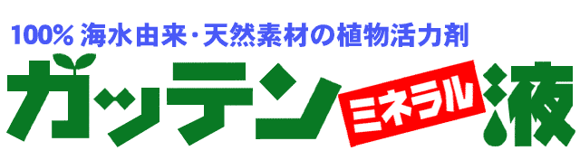 天然にがりのガッテンミネラル液